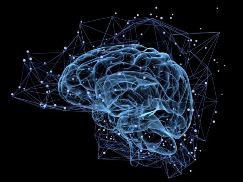 ИИ от Meta может анализировать ваши мозговые волны и "читать" то, что вы слышите