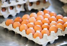 В Великобритании заявили о дефиците куриных яиц в супермаркетах