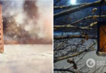 Температура упадет до 10 мороза: синоптики предупредили о резком похолодании и ветре. Карта