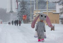 Как экономика России адаптировалась к санкциям и что ее ждет в новом