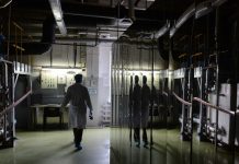 Российский бизнес сосредоточился на «выживании»