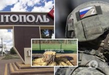 В Мелитополе оккупанты уничтожили аллею декоративных кленов, а улицы превращают в свалку. Фото