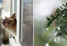 Погоду будет определять антициклон: синоптик рассказала, когда ждать потепления в Украине