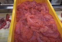 Российская туристка в Грузии была шокирована крайне низкой ценой на икру по сравнению с Россией