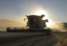 Словакия запретила переработку и продажу украинского зерна