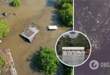 Затоплены огромные территории: новые спутниковые снимки последствий разрушения плотины Каховской ГЭС