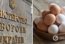 Журналист не ошибся: аудиторская служба подтвердила закупку яиц для ВСУ по 17 грн за штуку