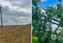 ДТЭК починил поврежденное в результате непогоды оборудование и вернул свет более 300 тыс. семей