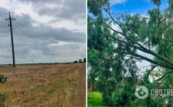 ДТЭК починил поврежденное в результате непогоды оборудование и вернул свет более 300 тыс. семей