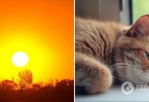 Европу накрыла рекордная жара: температура достигает +47 градусов, люди теряют сознание