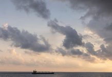 Граничащие с Украиной страны призвали продлить запрет на импорт зерна