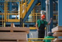 Поставки леса в Китай с Северо-Запада стали вдвое дешевле, чем из