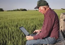 Внедрение инновационных технологий в сферу агробизнеса: эффективные решения для оптимизации процессов