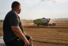 В Киеве заявили о неожиданно жесткой риторике Варшавы по запрету зерна