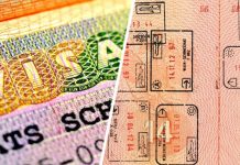 Озвучены подробности новой цифровой Шенгенской визы