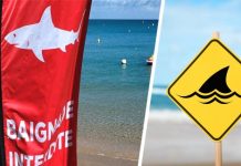 Туристка на байдарке недалеко от отеля была атакована и убита акулой