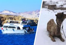 В полночь придут морозы: метеорологи Египта предупредили туристов, отдыхающих в Шарм-эль-Шейхе