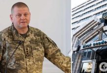 Залужный защитил диссертацию и стал доктором философии