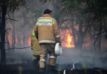 Эксперты назвали выгоды России от глобального потепления