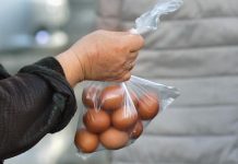 Росстат впервые с июня зафиксировал падение цен на яйца