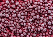 Польша призвала к ограничению экспорта фруктов с Украины