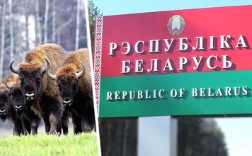 Европейцы массово хлынули в Беларусь по одной причине