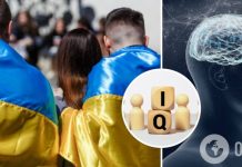 Средний IQ украинцев – 95: интересные факты о коэффициенте интеллекта, которые вы не знали