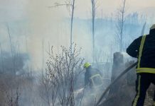 На Закарпатье спасатели потушили масштабный пожар: горело 6 га леса. Фото и видео