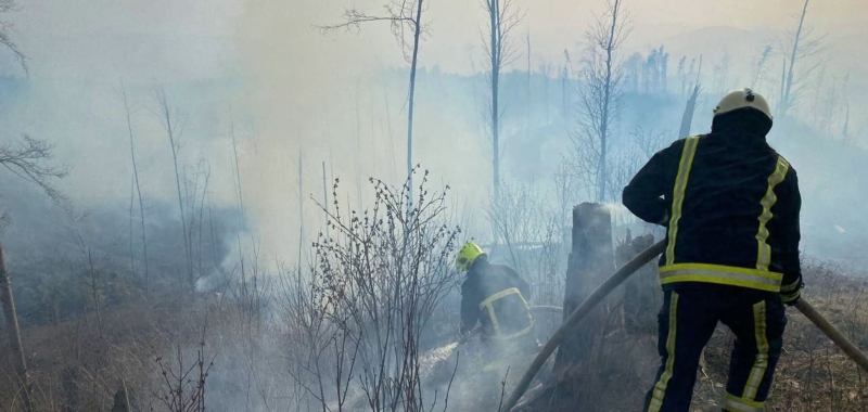 На Закарпатье спасатели потушили масштабный пожар: горело 6 га леса. Фото и видео