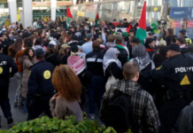 Арена Евровидения закрыта из-за хаоса и массовых столкновений с полицией