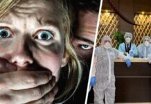 Туристов предупредили, что «лихорадка полевок», вызывающая «вирус кровотечения», распространяется по Европе