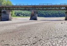 Днестр и Збруч обмелели до дна, умерла рыба и мидии: как это связано с российскими обстрелами и готовиться ли к катастрофе