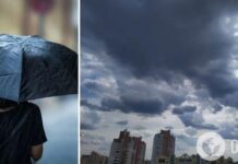 Кратковременные дожди, местами туманы: синоптики дали прогноз погоды на вторник, 25 июня