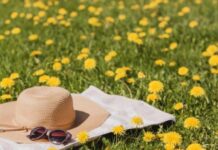 Похолодание до +30 градусов: синоптики дали прогноз погоды на вторник, 23 июля