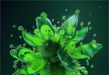 Хлорофилл: полный гайд по свойствам, функциям и применению